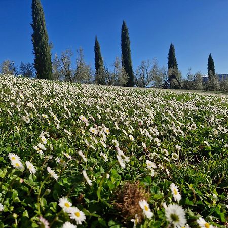 Agriturismo Val Della Pieve อันกิอารี ภายนอก รูปภาพ
