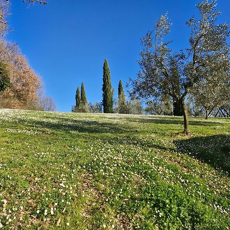 Agriturismo Val Della Pieve อันกิอารี ภายนอก รูปภาพ