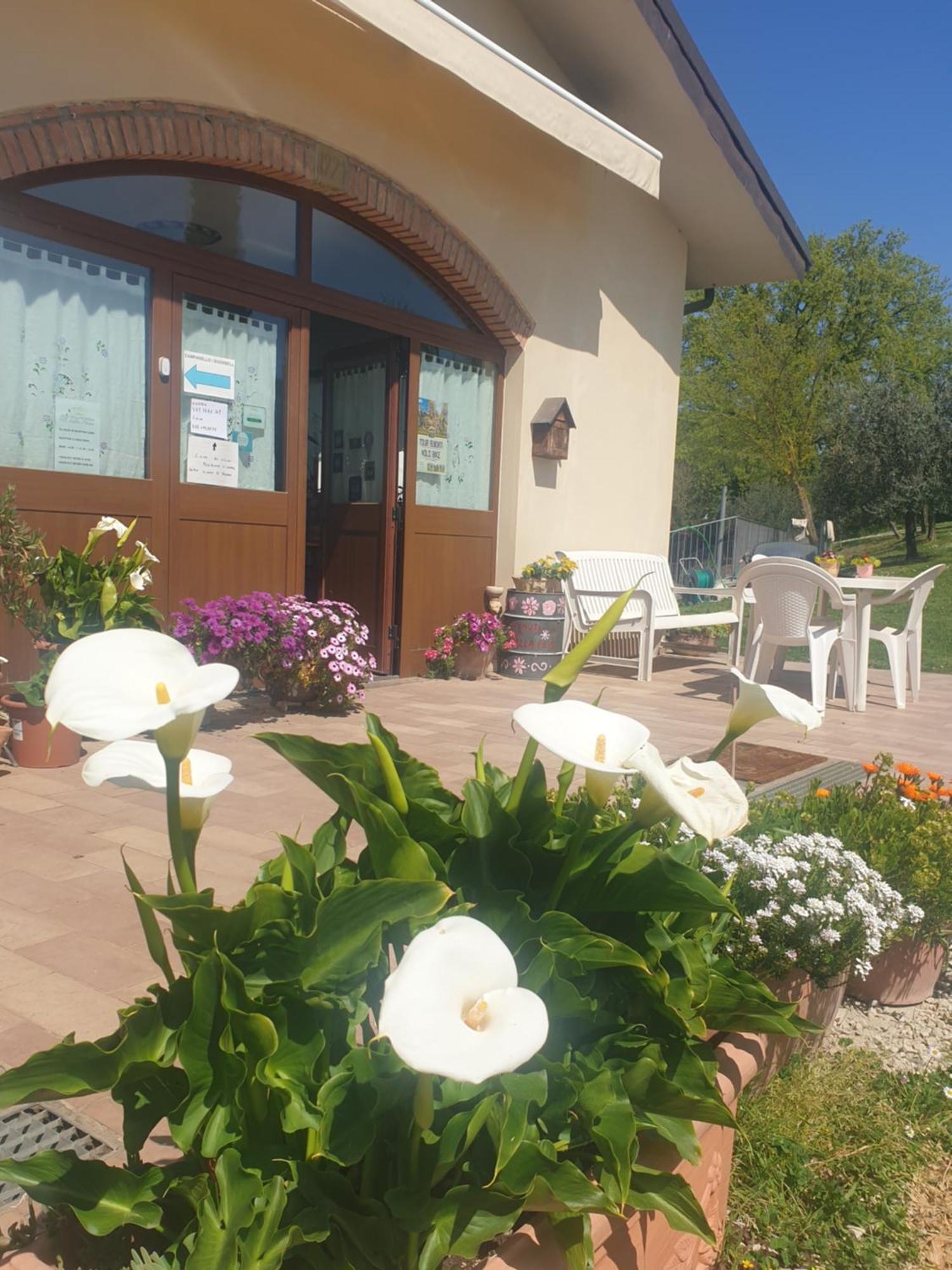 Agriturismo Val Della Pieve อันกิอารี ภายนอก รูปภาพ