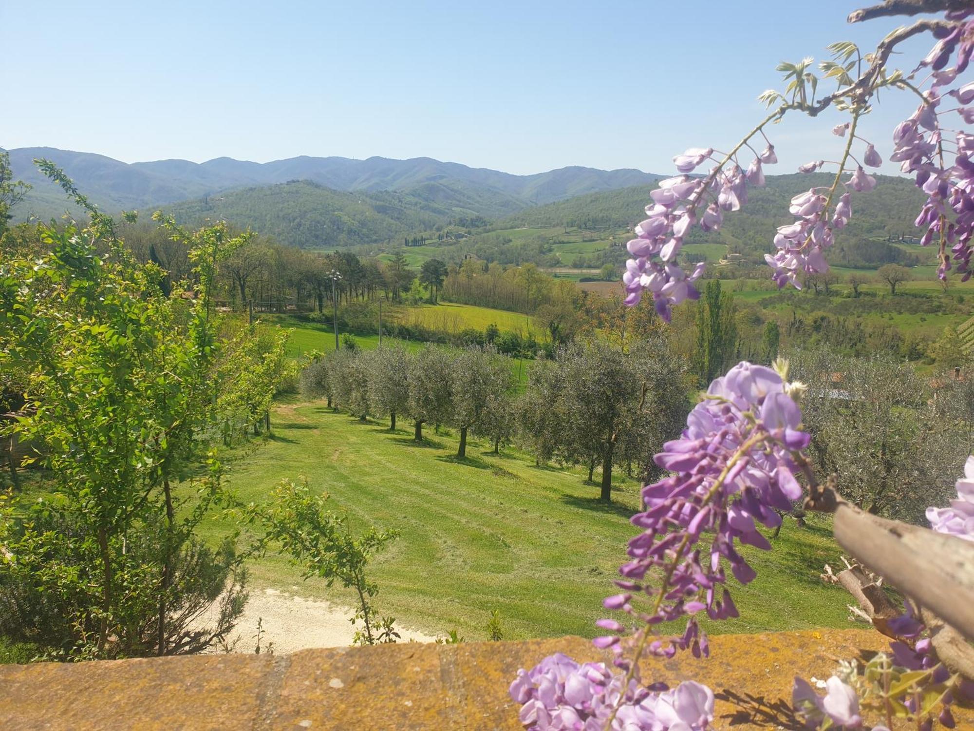 Agriturismo Val Della Pieve อันกิอารี ภายนอก รูปภาพ