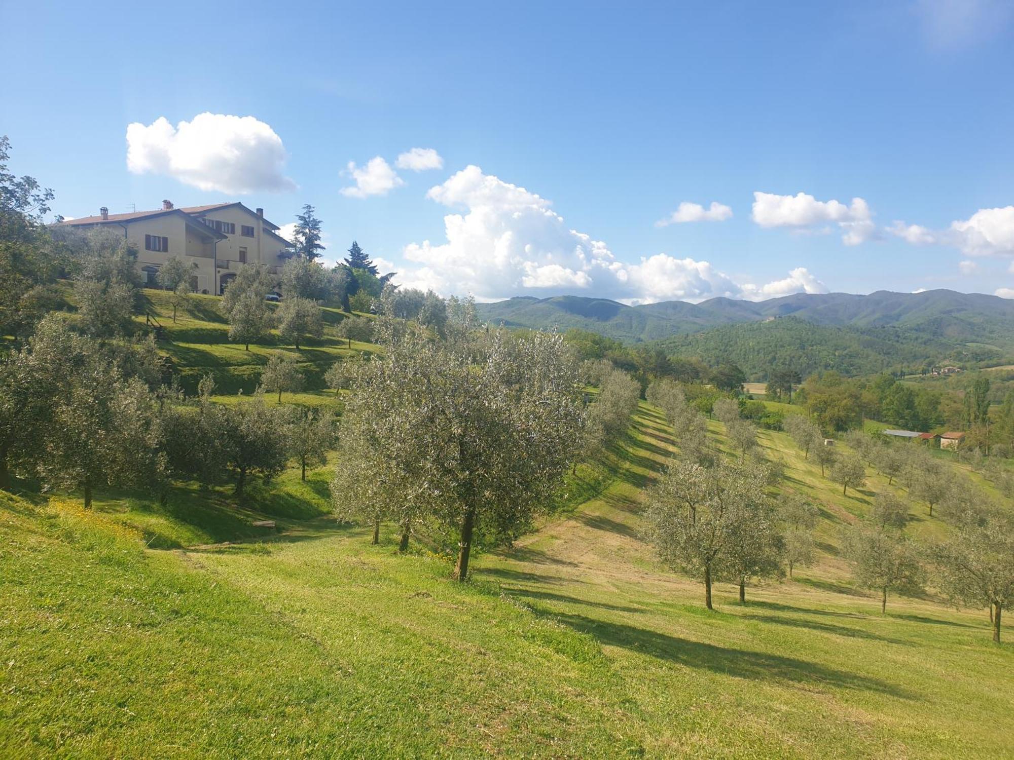 Agriturismo Val Della Pieve อันกิอารี ภายนอก รูปภาพ