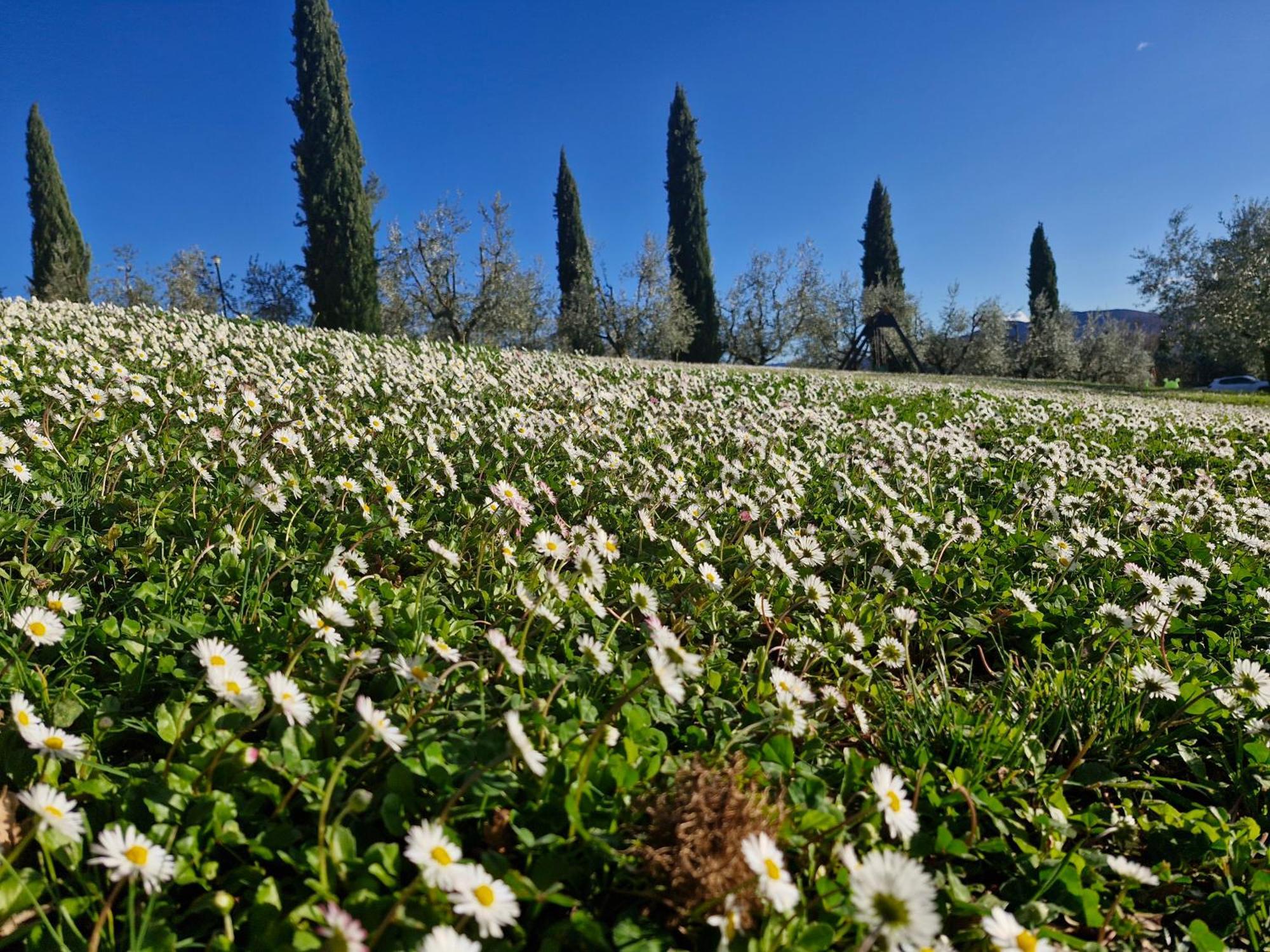 Agriturismo Val Della Pieve อันกิอารี ภายนอก รูปภาพ
