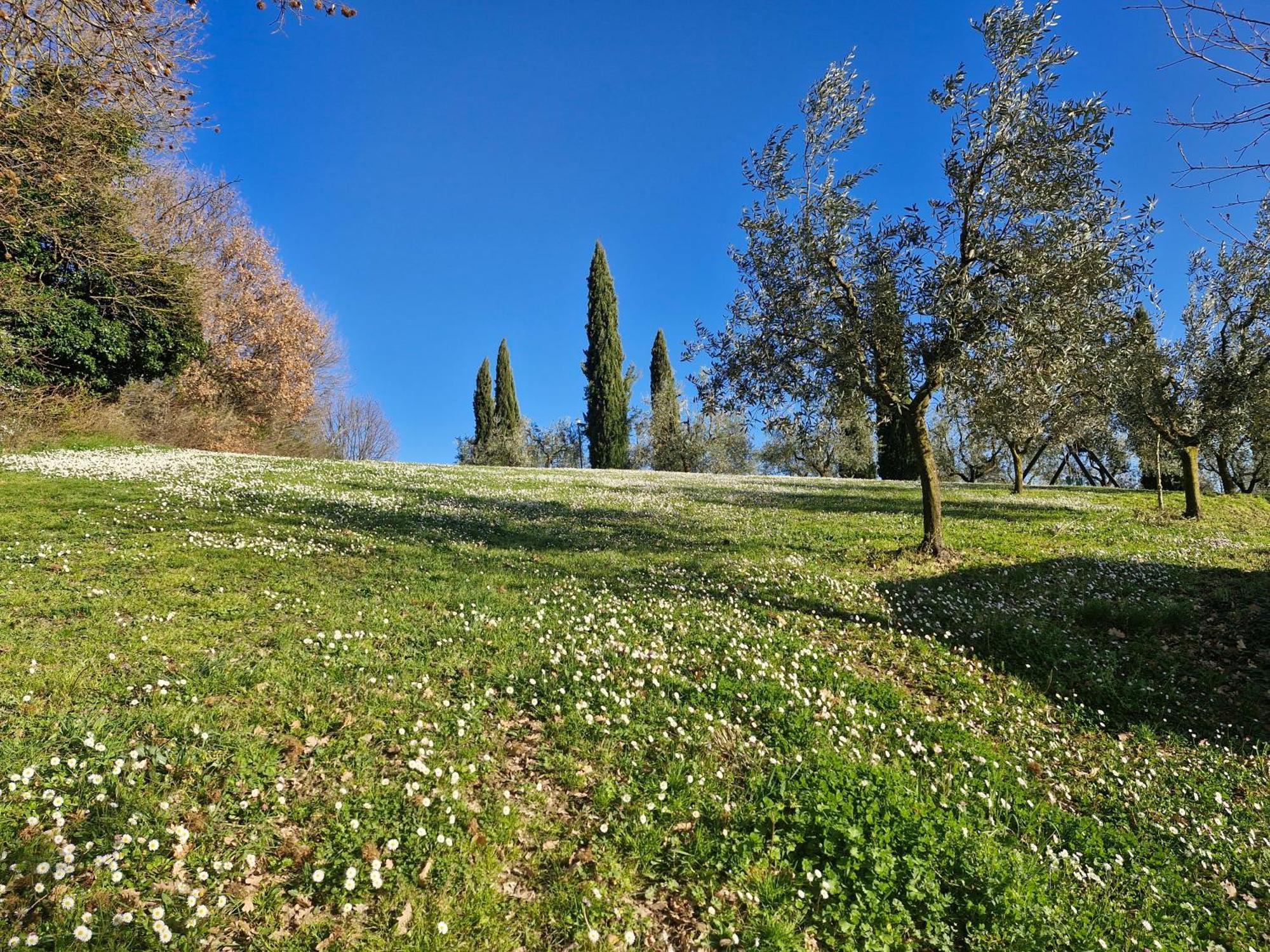 Agriturismo Val Della Pieve อันกิอารี ภายนอก รูปภาพ